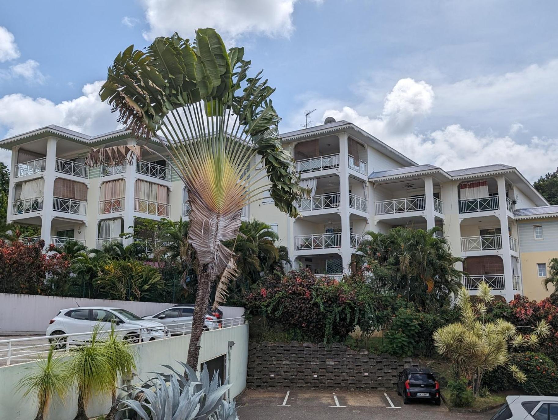 Studio Ti Plezi 26M A 2 Pas Marina Du Marin Climatise Parking Le Marin エクステリア 写真